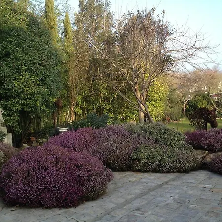 Le Clos De L'eglise Bed & Breakfast *